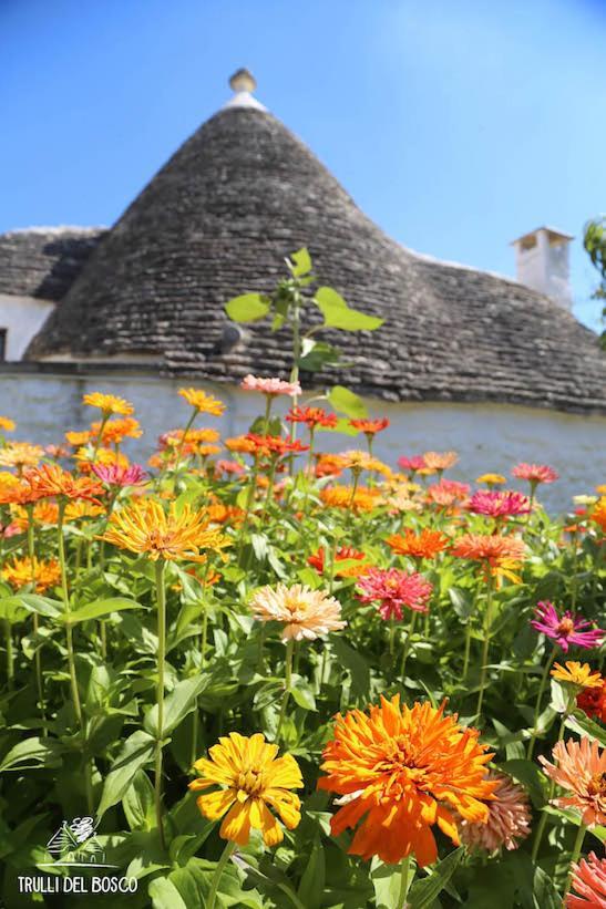 Bed and Breakfast Trulli Del Bosco Альберобелло Екстер'єр фото